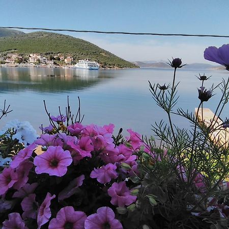 Гостьовий будинок Meli-Ios Алміропотамос Екстер'єр фото
